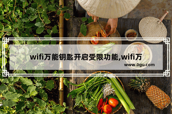 wifi万能钥匙开启受限功能,wifi万能钥匙使用说明