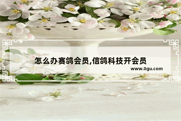 怎么办赛鸽会员,信鸽科技开会员