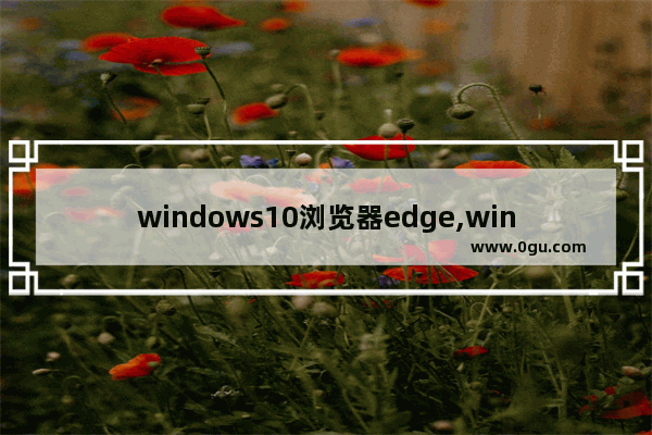 windows10浏览器edge,windows10自带的edge浏览器