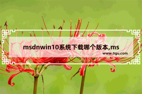 msdnwin10系统下载哪个版本,msdn下载win7系统哪个版本好