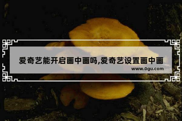 爱奇艺能开启画中画吗,爱奇艺设置画中画