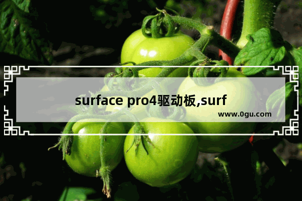 surface pro4驱动板,surfacepro4驱动下载