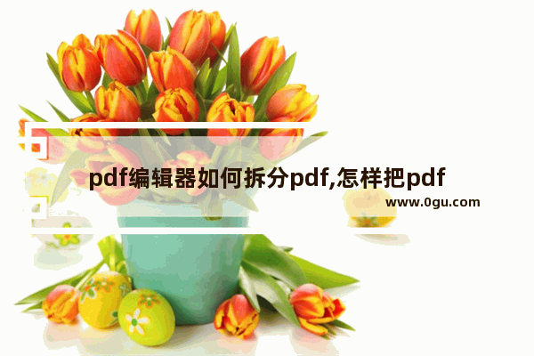 pdf编辑器如何拆分pdf,怎样把pdf分割
