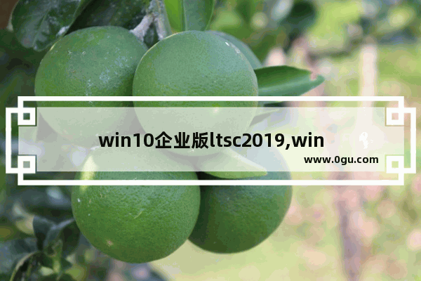 win10企业版ltsc2019,win10企业版ltsc官方下载