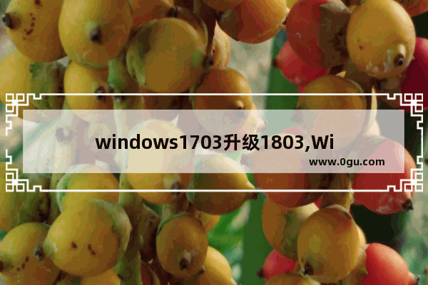 windows1703升级1803,Windows10 1803