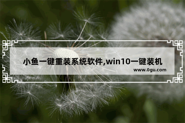 小鱼一键重装系统软件,win10一键装机教程