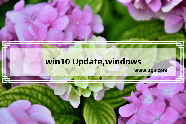 win10 Update,windows10月更新