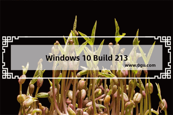 Windows 10 Build 21337,Windows 10 Build 21343