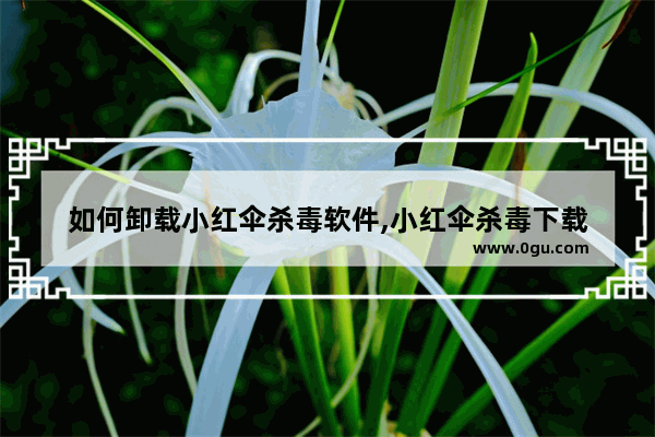 如何卸载小红伞杀毒软件,小红伞杀毒下载