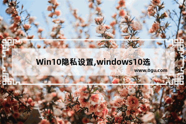Win10隐私设置,windows10选择隐私设置