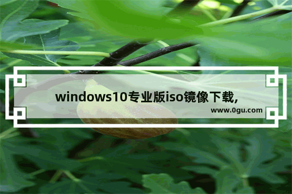 windows10专业版iso镜像下载,win10企业版官方iso镜像下载