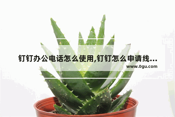 钉钉办公电话怎么使用,钉钉怎么申请线上办公