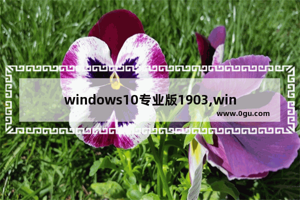 windows10专业版1903,window10专业版1903 怎么样 
