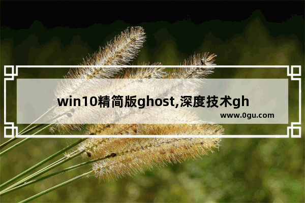 win10精简版ghost,深度技术ghost win十六十四位精简旗舰版