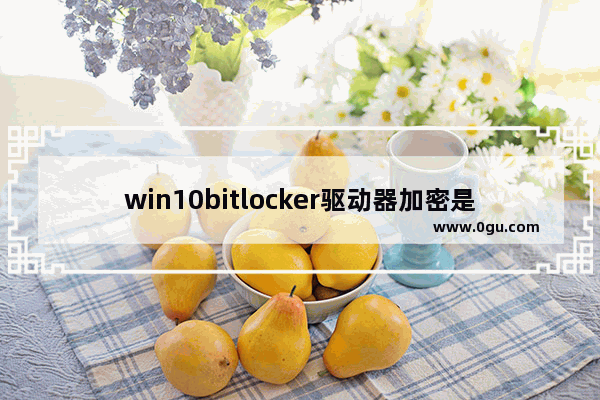 win10bitlocker驱动器加密是什么意思,win10解锁bitlocker命令