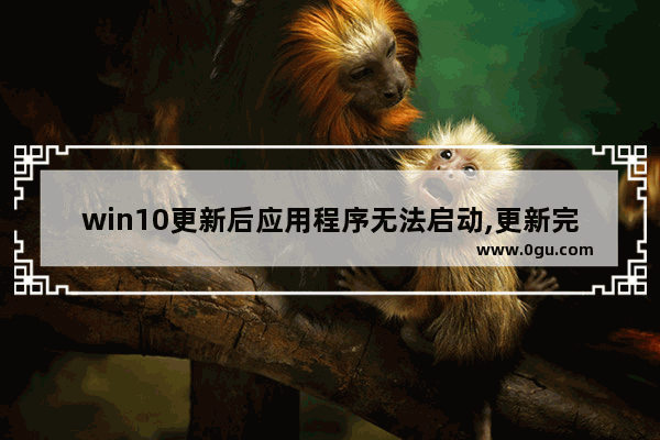 win10更新后应用程序无法启动,更新完win10原来的软件没了