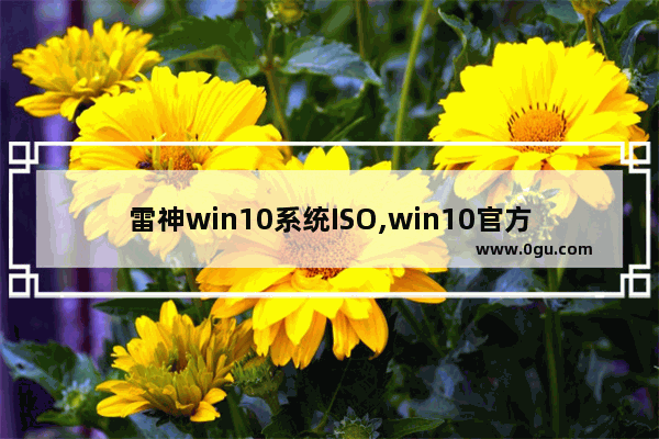 雷神win10系统ISO,win10官方iso镜像下载