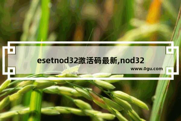 esetnod32激活码最新,nod32激活码2020年