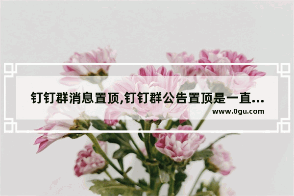 钉钉群消息置顶,钉钉群公告置顶是一直都显示在上面吗