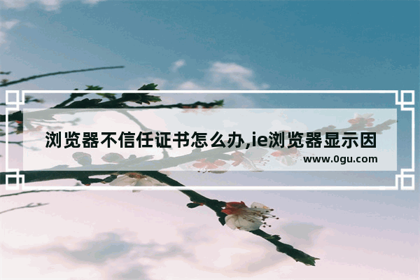 浏览器不信任证书怎么办,ie浏览器显示因为没有使用有效的安全证书