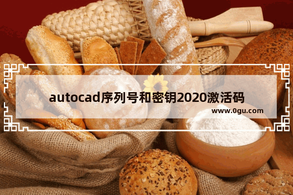 autocad序列号和密钥2020激活码,autocad2019序列号和密钥激活码