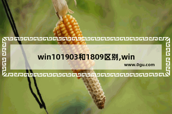 win101903和1809区别,windows10 1809是什么版本