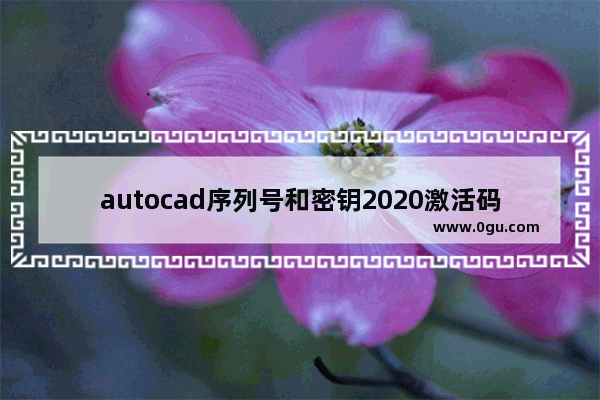autocad序列号和密钥2020激活码,autocad2019序列号和密钥激活码