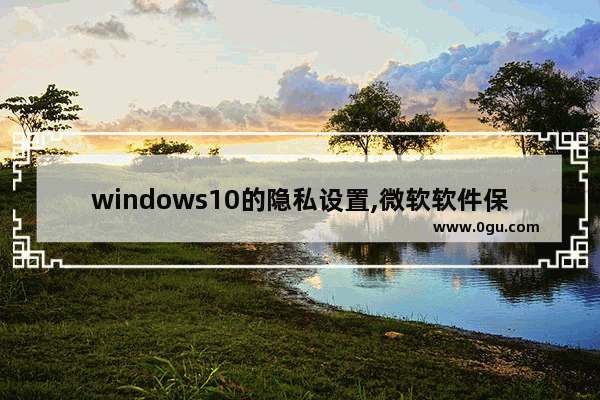 windows10的隐私设置,微软软件保护