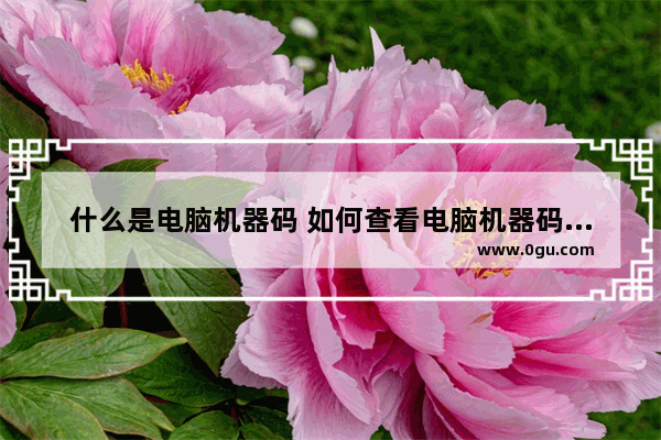 什么是电脑机器码 如何查看电脑机器码对不对,什么是电脑机器码 如何查看电脑机器码是否正常