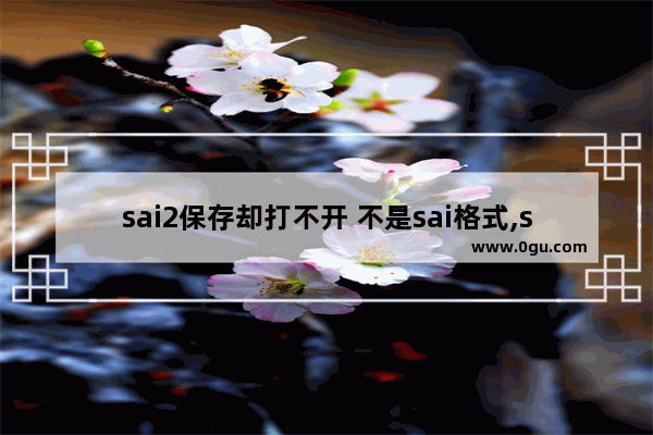 sai2保存却打不开 不是sai格式,sai为什么无法打开文件