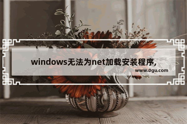 windows无法为net加载安装程序,net安装显示无法启动服务