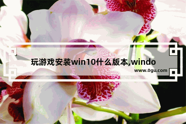 玩游戏安装win10什么版本,windows10怎么安装不了游戏