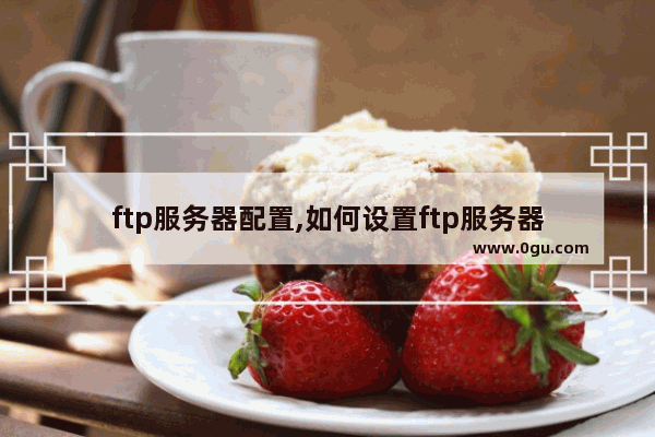 ftp服务器配置,如何设置ftp服务器