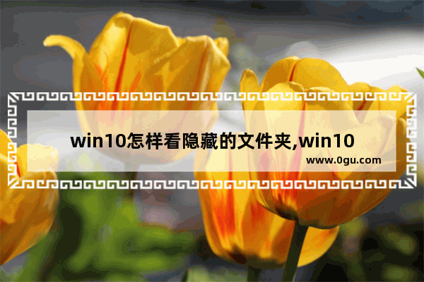 win10怎样看隐藏的文件夹,win10怎么看到隐藏文件夹