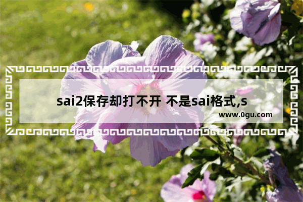 sai2保存却打不开 不是sai格式,sai为什么无法打开文件