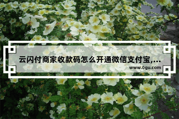 云闪付商家收款码怎么开通微信支付宝,云闪付可以申请商家收款码吗