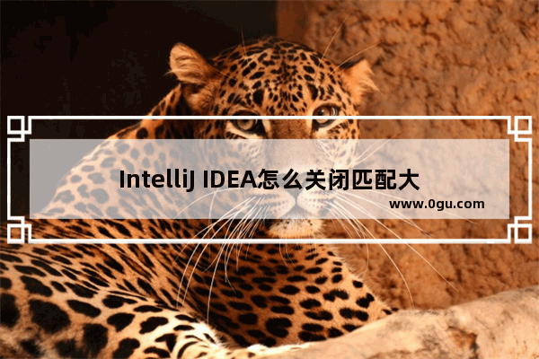 IntelliJ IDEA怎么关闭匹配大小写