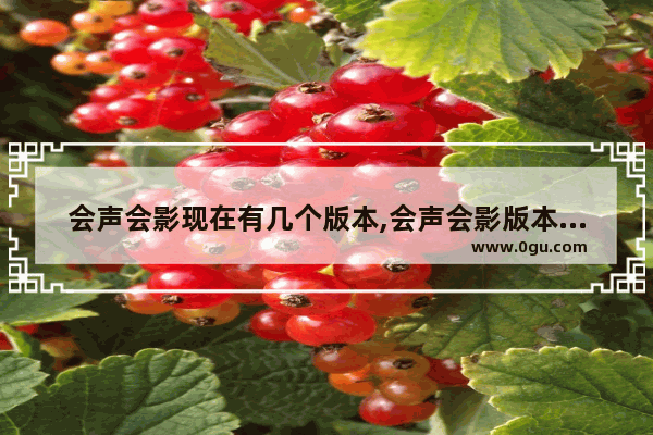 会声会影现在有几个版本,会声会影版本区别