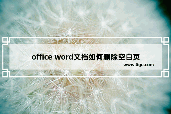 office word文档如何删除空白页,office2016word怎么删除空白页