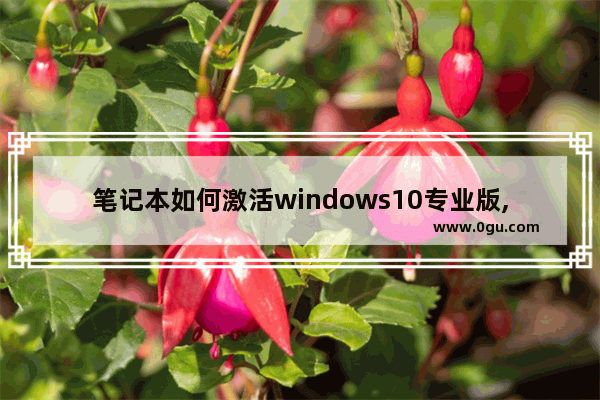 笔记本如何激活windows10专业版,笔记本电脑如何激活windows 10专业版
