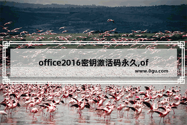 office2016密钥激活码永久,office2017永久激活密钥