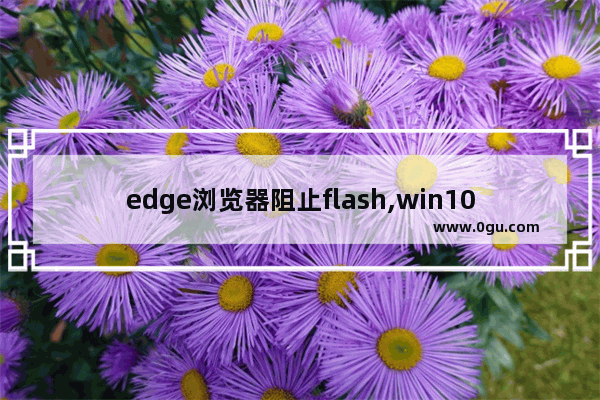 edge浏览器阻止flash,win10 edge flash