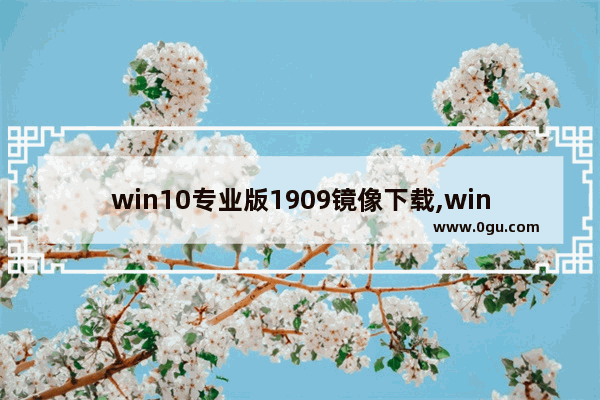 win10专业版1909镜像下载,windows10 1909镜像