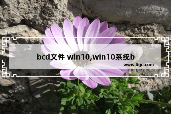bcd文件 win10,win10系统bcd配置故障