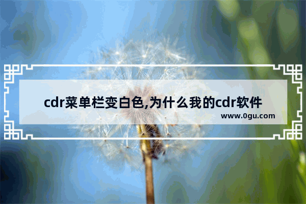 cdr菜单栏变白色,为什么我的cdr软件菜单栏是白色的