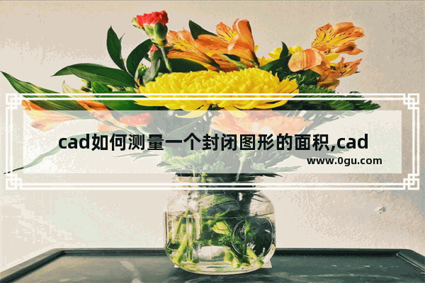 cad如何测量一个封闭图形的面积,cad自动识别封闭图形并计算面积