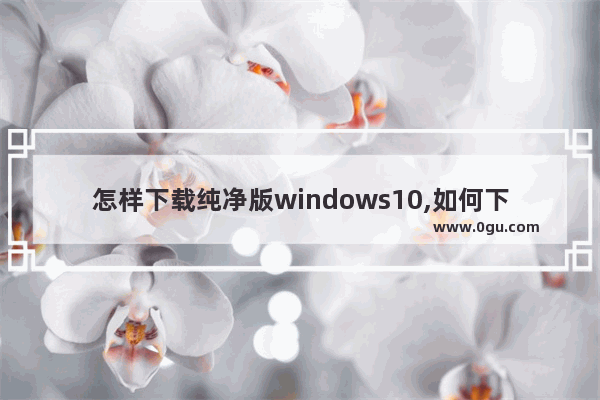 怎样下载纯净版windows10,如何下载win10纯净版
