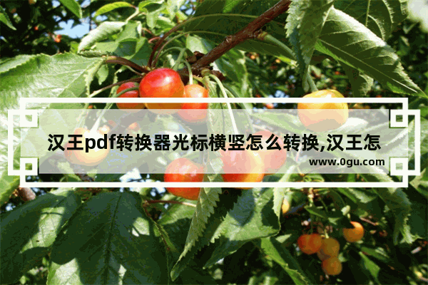 汉王pdf转换器光标横竖怎么转换,汉王怎么转换pdf