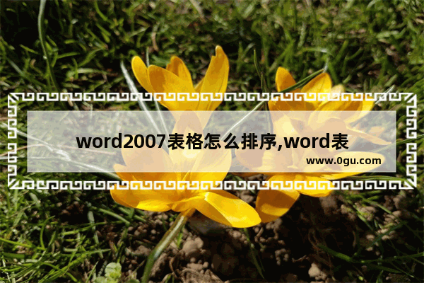 word2007表格怎么排序,word表格如何进行排序