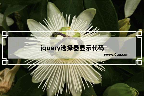 jquery选择器显示代码